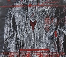 Shane Cotton, Back Bone, 2010, acrylic on canvas, 1400 x 1400 mm