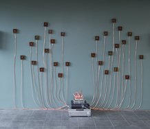 Jacob C. Hammes, Synesthetic Collection #1