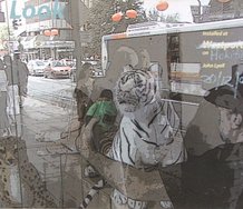 John Lyall, Look. Installed at Hokitika, Giclee print on Hahnmule watercolour paper, 51.5 x 68 cm