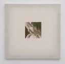 John Ward Knox, Untitled, 2010, oil on calico, 65 x 65 cm