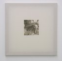 John Ward Knox, Untitled, 2010, oil on calico, 65 x 65 cm