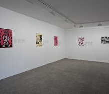 Purakau as installed at Te Tuhi