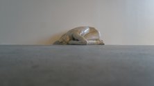 Sam Harrison, Curled Woman, 2011, wax on plaster, 450 x 1000 x 540 mm