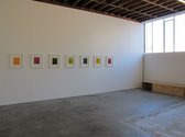 Leigh Martin, shellac-based ink on Fabriano paper paintings at Fox Jensen