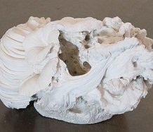 Tony Drumm, Gypsum Flower III, 2011, superfine casting plaster, 21 x 31 x 27 cm