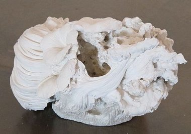 Tony Drumm, Gypsum Flower III, 2011, superfine casting plaster, 21 x 31 x 27 cm