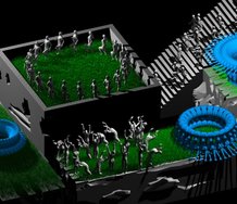 Still from Gregory Bennett's Utopia Part 1, 2011, looped digitally animated DVD.