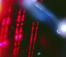 Darren Glass, Cosmo Flying Disc #327, 2000-2010, type c handprinted.