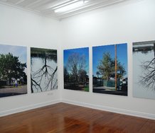Ann Shelton, In a Forest, installed at Starkwhite