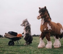 Boyd Webb, Horse and Dog, 2002, DVD, 10 mins,