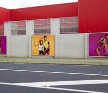 Bepen Bhana's Te Tuhi billboard project, Facial Suite, on Reeves Road, Pakuranga.