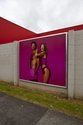 Bepen Bhana's Te Tuhi billboard project, Facial Suite, on Reeves Road (detail)