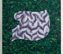 Amber Wilson, Hirsute Pond, 2012, oil on canvas, 600 x 600mm 