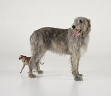 Martin Creed, Work No. 1096, 2011, framed photographic print, 1635 x 1645 mm, edition of 3 