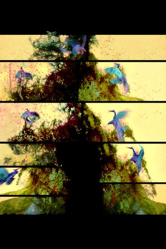 Vincent Ward, Rorschach Tree, 2011, pigment inks on archival paper, 1650 x 1180 mm