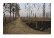 John B. Turner, Winter Fields, Dabairoa village, Tangxian, Hebel, China. 22 January 2012 (20120122-015)