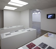 Sean Snyder's video Alalepsis, 2004, on the wall. Video without sound. On the three plinths, photographs from 2009, Untitled (ideological material, printed materials, celluloid); Untitled (digital image sensing devices, LCD screens). Photo Sam Hartnett