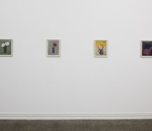 Layla Rudneva-Mackay's Pointing at Trees, installed at Starkwhite. Photo by Sam Hartnett.