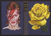 Sam Mitchell, Ziggy Stardust series, 2012, acrylic on found book covers