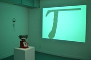 James R. Ford, Snake Pis, 2012, installation at Blue Oyster