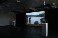 Murray Hewitt, The Secrets of their Own Hearts, installation view, City Gallery Wellington 2012. Photo: Hamish McLaren  