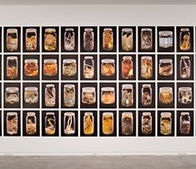 Neil Pardington, Arthropoda, Auckland Museum Tamaki Paenga Hira #1, 2013, pigment inks on Hahnemuhle Baryta, 2550 x 5270 mm. 48 works in grid of 4 rows.