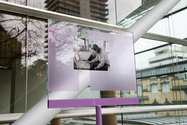 Mladen Bizumic's Kodachrome Presents on the Edmiston North Scuplture Terrace of Auckland Art Gallery Toi o Tamaki
