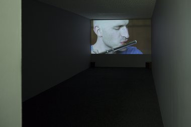 Manon de Boer, One, two, many, 2012, 16 mm film transferred to HD video, 16:9, 21 mins, 38 secs.  Installed at Artspace. Photo by Sam Hartnett