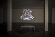 Gregory Bennett's Dromospheres at Two Rooms, showing the video work, Florotopia, HD video, looped duration: 14.14 mins