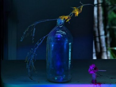 Fiona Pardington, Still Life with Colin's Flagon with Precarious Kowhai Flowers and a Pansy, 2013, pigment inks on Hahnemuhle Photo Rag, 412 x 550 mm