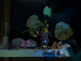 Fiona Pardington, Still Life with Slave Collar,Kowhai and Absinthe Cuillerie, 2013, pigment inks on Hahnemuhle Photo Rag, 825 x 1100 mm