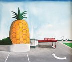 Noel McKenna, Big Pineapple, Gympie, Queensland  2003.   Private collection, Melbourne. Courtesy of Niagara Galleries, Melbourne and © the artist
