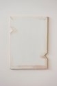 Johl Dwyer, System, 2014, plaster, acrylic, cedar, 620 x 450 x 20 mm.Photo: Kallan MacLeod 