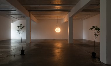 Cerith Wyn Evans' Transmit/receive as installed at Michael Lett. In the foreground, receptacles for revolutionary reverie, 2011 (plants, rotating platforms). In the distance, cite/sight/site, 2014, chandelier, independent breather unit, flash player.