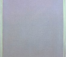 Leigh Martin, Silenced # 11, 2014, acrylic on linen.