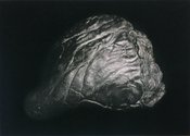Melissa Coote, Heart II, photogravure 1/5, 565 x 750 mm