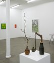 In foreground: Stella Brennan, (Plinth #2), Flail, 2014, Twig, 2014, Vase, 2014. Photo: Sam Hartnett