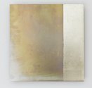 Stephen Bambury, Fourteen Mirrors (II), 2014, chemical action on aluminium, acrylic and 12k white gold, 347 x 333 mm (2 panels). Photo: Sam Hartnett