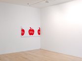 Billy Apple's 'Withdrawn at the Request of Sue Crockford Gallery' as installed at Gow Langsford Gallery