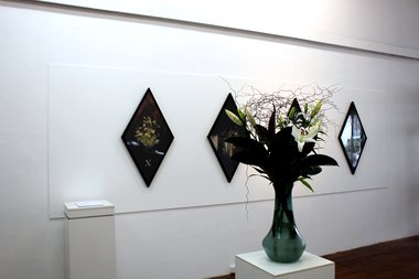 Sonny Barlow, Floral Disorder, installation detail