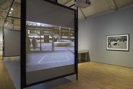 Installation view of Test Run: Performance in Public, Lilly McElroy, The Square – After Roberto Lopardo, 2004 (left), VALIE EXPORT, Aus der Mappe der Hundigkeit, Edition E, 1968. Courtesy VALIE EXPORT (right).