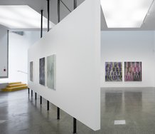 James Cousins' Restless Idiom at Te Uru. Photo: Sam Hartnett