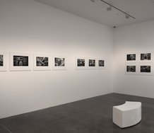 Ilan Wittenberg, Faces of Jerusalem: An Interfaith Journey, as installed at Te Uru. Photo: Sam Hartnett