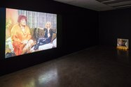 Fiona Clark, For Fantastic Carmen, as installed at Artspace. Moving Images gallery. Photo: Sam Hartnett