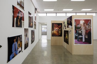 Fiona Clark, For Fantastic Carmen, as installed at Artspace. Visual Thinking. Photo: Sam Hartnett