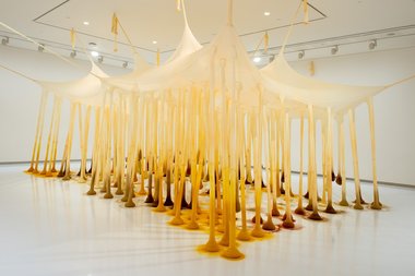 Ernesto Neto, Just like drops in time, nothing, 2002, textile, spices, dimensions variable. Collection of Art Gallery of New South Wales -Purchased with the assistance of Clayton Utz.