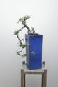 John Lyall & Haru Sameshima, Cascade, Exposed root Style, unique print, 950 x 630 mm