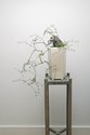 John Lyall & Haru Sameshima, Cascade, Root on Rock style, Coprosma, unique print, 950 x 630 mm