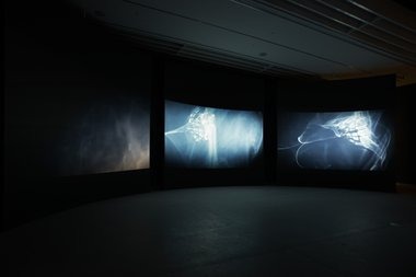Joyce Campbell, Flightdream II, 2016, (installation view), Auckland Art Gallery Toi o Tāmaki, 2016