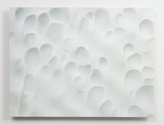 Elizabeth Thomson, Ghost II, 2016, nylon fibre, cast vinyl film, lacquer on contoured and shaped wooden panel. 755 x 1000 x 50 mm. Photo: Sam Hartnett